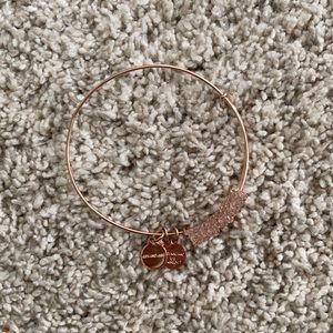 Alex and ani bracelet